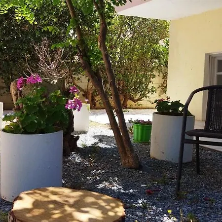 Hotel Cleo 250m From The